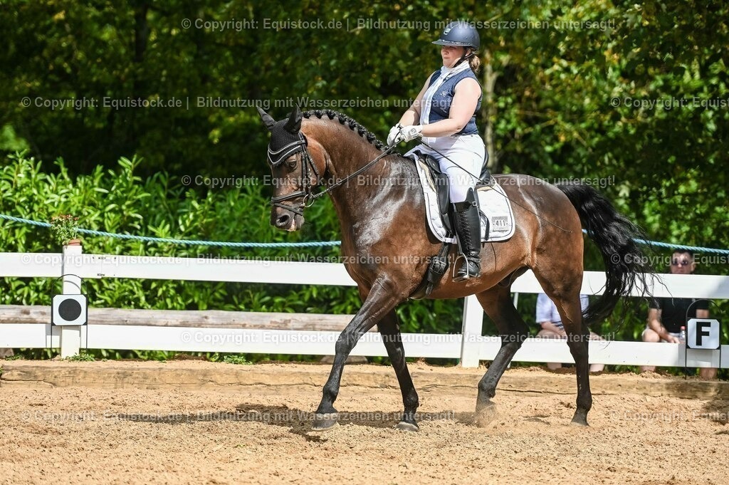 20230715_02_Dressurreiterprüfung Kl.L_0376 | equistock