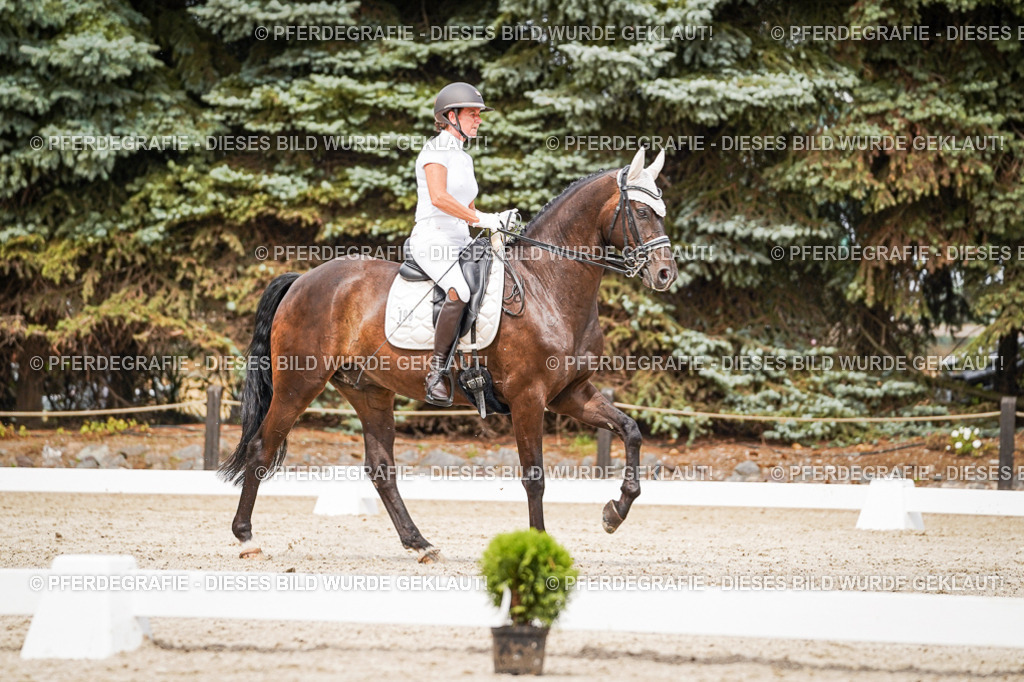 DSC06335 | Pferdegrafie