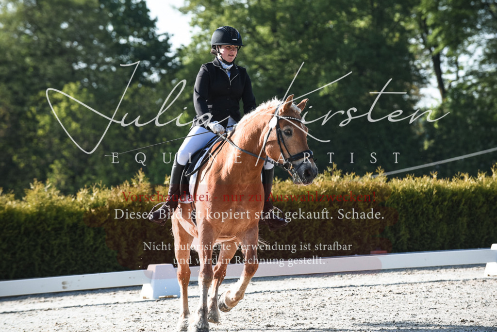 20230518_JK-Röhrsdorf-09-0342 | Pferde- und Turnierfotografie in Westsachsen. Pferdeportraits, Auftragszeichnungen und intuitive Kunst.