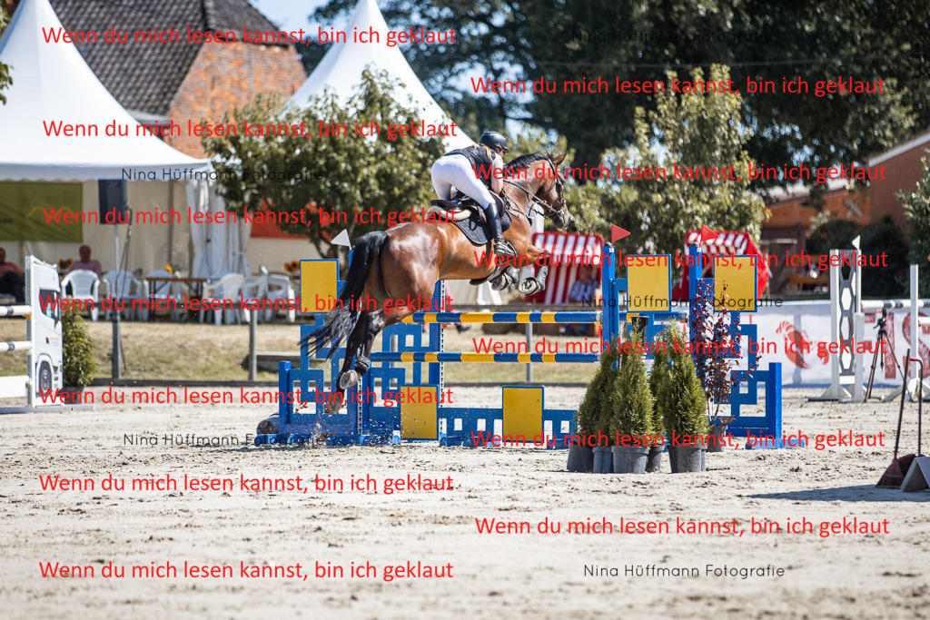 BK1A6681 | Turnierbilder Turnierfotos Nina Hüffmann Turnierfotografie Pferdefotografie Tierzeichnung Haustierzeichnung Pferdezeichnung Hundezeichnung Videograf  - Realisiert mit Pictrs.com