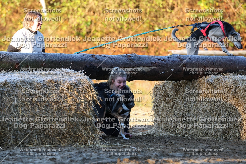 Dog Paparazzi - Strongdog 10-25-569 | Dog Paparazzi Jeanette Grottendiek Fotografie & Videografie - Realisiert mit Pictrs.com