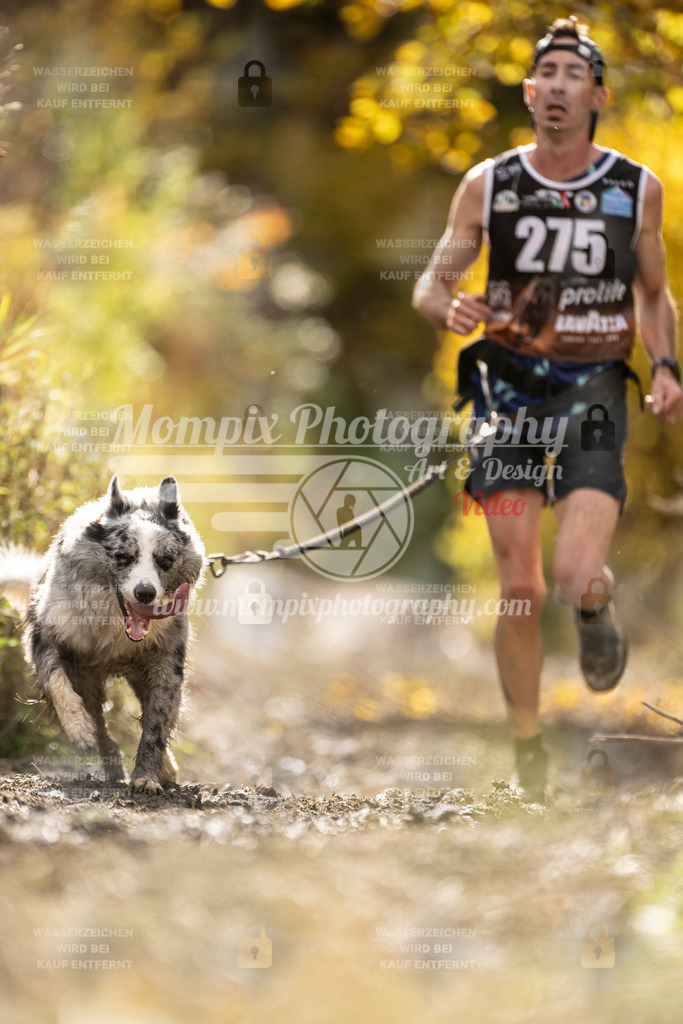 MompixPhotography_ICF_WC_2024_SA_Run_-94 | PayLife