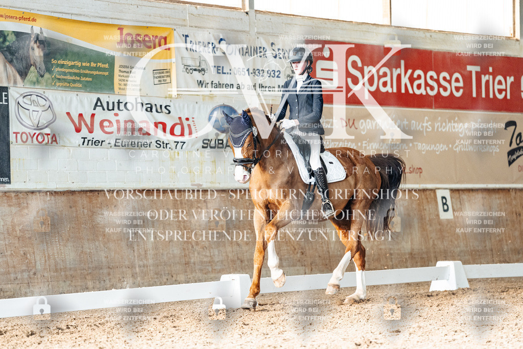 CK903295 | Turnierfotografie Pferdefotografie Trier Rheinland-Pfalz Pferdesport Reitsport Tierfotografie Sportfotografie Pferdevideo Pferdevideografie Equestrianvideography equestrianphotography  - Realisiert mit Pictrs.com