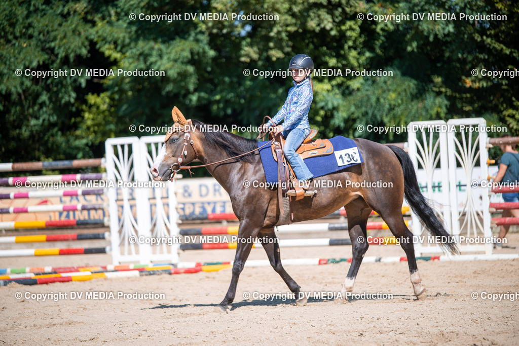 ZS1_0930 | dv-media-shop - Realisiert mit Pictrs.com