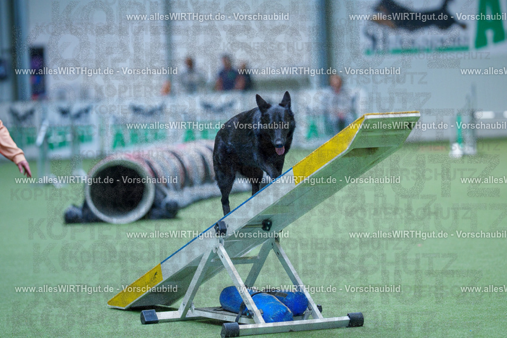 @allesWIRTHgut_Tierfotografie - www.allesWIRTHgut.de - 2604251346-7R503989 | Professionelle Tierfotografie in Mönchengladbach von Daniel Wirth (allesWIRTHgut). Liebevolle & natürliche Bilder von Hunden & Katzen für unvergessliche Erinnerungen.