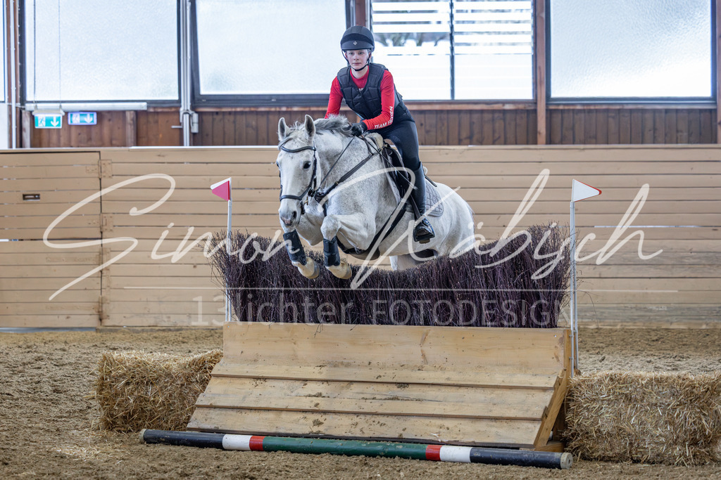 20260221-_3LI9752 | Tierfotografie Pferde, Hunde, Katzen, Haustiere.
Turnierfotografie Reitturniere, Reiten, Springreiten, Dressur in Hanau, dem Main-Kinzig-Kreis und dem Rhein-Main- Gebiet um Frankfurt