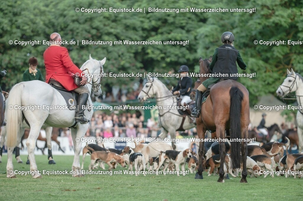 20230526_Pferdenacht_0581 | equistock