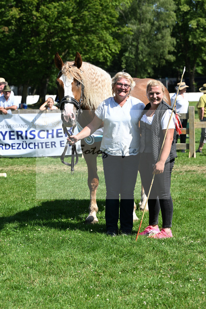 Kat-Nr. 61 Prestige v. Rivero_Schroeder_18251336 | hf-fotografie - Realisiert mit Pictrs.com