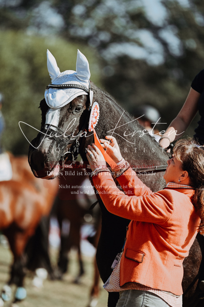 DSC_0092 | Pferde- und Turnierfotografie in Westsachsen. Pferdeportraits, Auftragszeichnungen und intuitive Kunst.