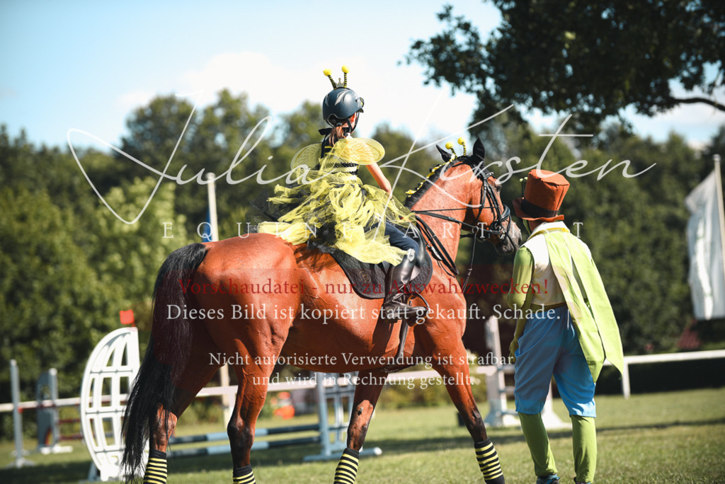 DSC_7507 | Pferde- und Turnierfotografie in Westsachsen. Pferdeportraits, Auftragszeichnungen und intuitive Kunst.