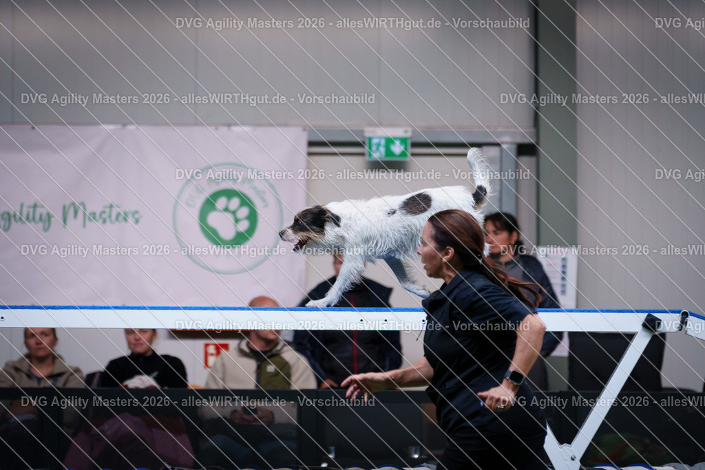 allesWIRTHgut_Tierfotografie-DVG_Agility_Masters_2026-15_02-7R506004 | Professionelle Tierfotografie in Mönchengladbach von Daniel Wirth (allesWIRTHgut). Liebevolle & natürliche Bilder von Hunden & Katzen für unvergessliche Erinnerungen.