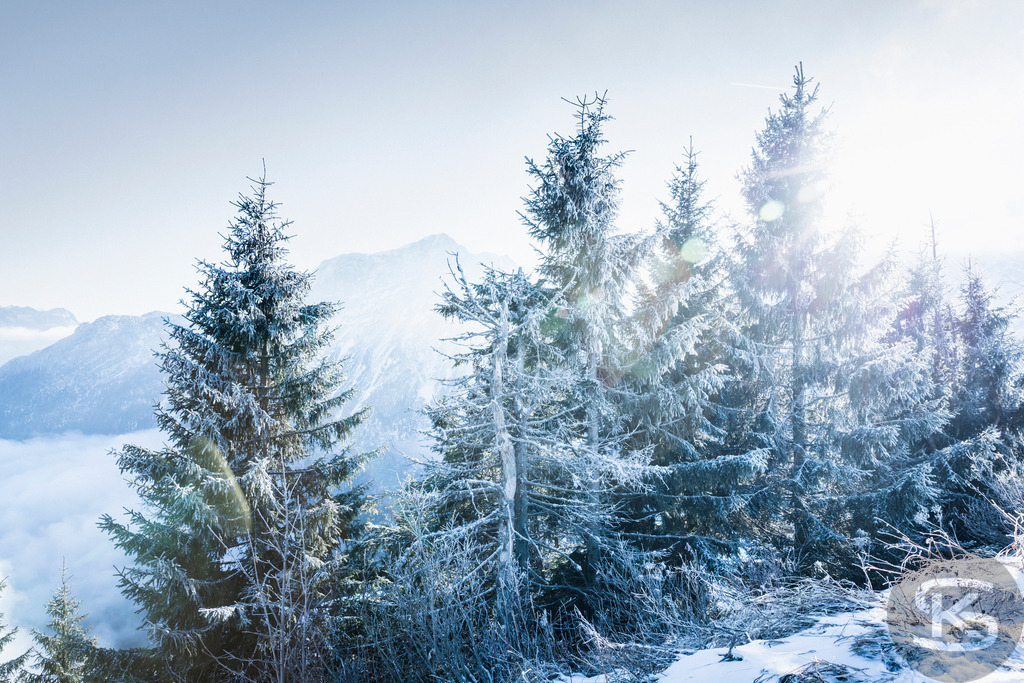 Winterliche Berglandschaft: Sonnenstrahlen durch verschneite Tannen | Eine hochalpine Winterlandschaft mit tief verschneiten Tannen im Vordergrund und einem malerischen Blick auf die umliegenden Bergmassive. Durch die Bäume schimmert hell die Sonne, die das schneebedeckte Tal in ein weiches, dunstiges Licht taucht. - Realisiert mit Pictrs.com