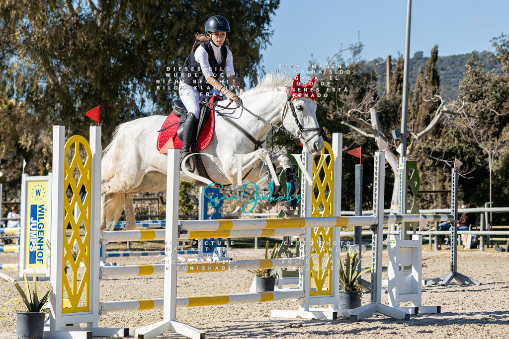 IMG_1046 | s-jay-photography - Realisiert mit Pictrs.com