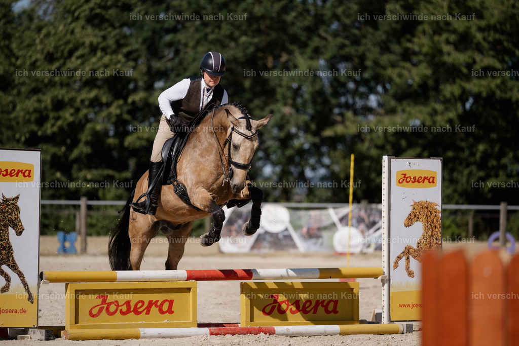 WS_ST_75_stoibphotography_SO11705 | working equitationturnier fotograf videograf stoibphotography marixx film working equitation deutschland reitsport turnierfotografie eventfotografie equestrian events