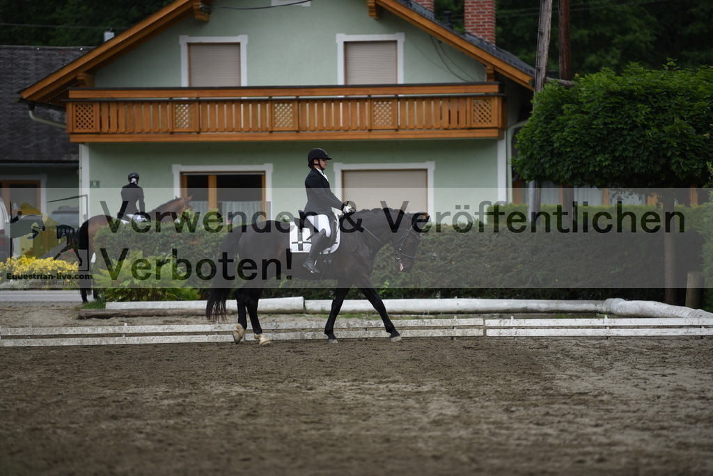 DSC_4870 | equestrian-live-com
