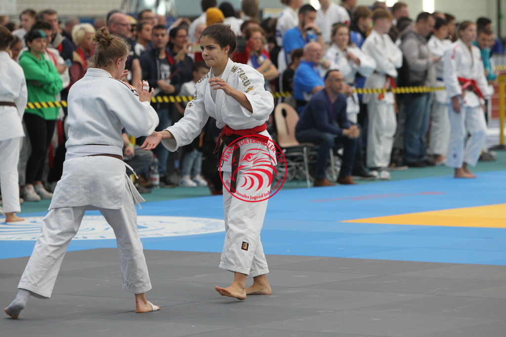 JT6F9688 | Fotos vom Adler Cup - Pictures from Adler Cup

Hier findet Ihr alle Eindrücke und großen Momente der Adler Cup Wochenenden. Here you will find all impressions and great moments of the Adler Cup weekends. - Realisiert mit Pictrs.com