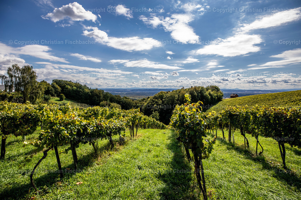 Fotos_Copyright_Chri_Fischbacher_Druck-415 | Bildershop Chri Fischbacher - Realisiert mit Pictrs.com