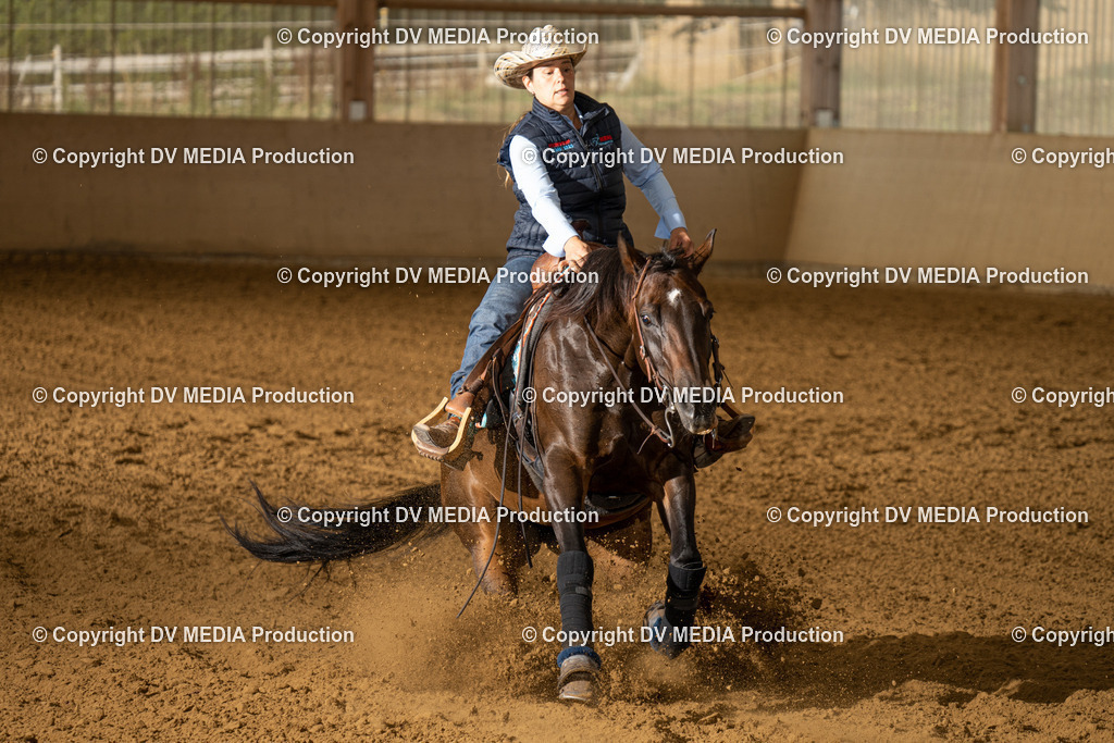 LAU01429 | dv-media-shop - Realisiert mit Pictrs.com