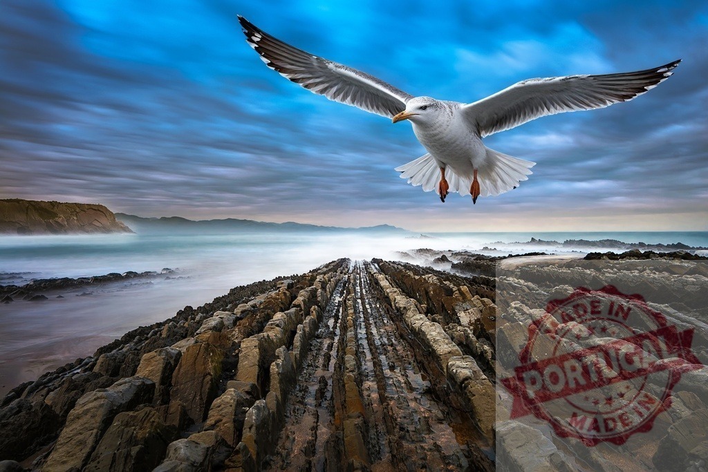 Seagull flying over Zumaia flysch rock formations | Seagull flying over the unique striped coastal rock formations of Zumaia, Basque Country - Realized with Pictrs.com