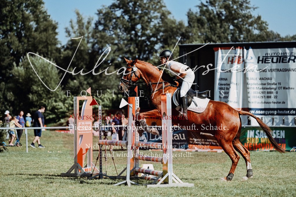 DSC_6969 | Pferde- und Turnierfotografie in Westsachsen. Pferdeportraits, Auftragszeichnungen und intuitive Kunst.