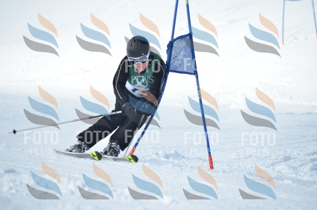 D8965 | holidayphoto