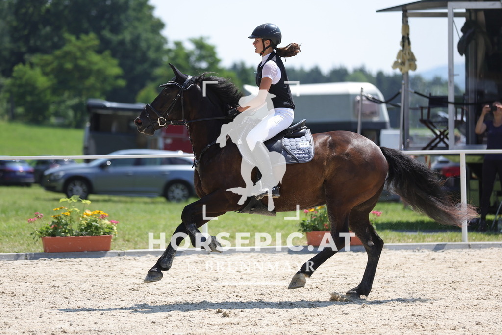 0P6A9080 | Willkommen bei Brunnmayr - Design & Fotografie – Ihrem Spezialisten für Reitturniere und Pferdeveranstaltungen in Oberösterreich, Salzburg und Bayern! Seit über 17 Jahren sind wir leidenschaftlich dabei.