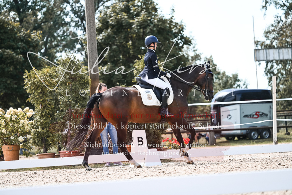 DSC_5774 | Pferde- und Turnierfotografie in Westsachsen. Pferdeportraits, Auftragszeichnungen und intuitive Kunst.
