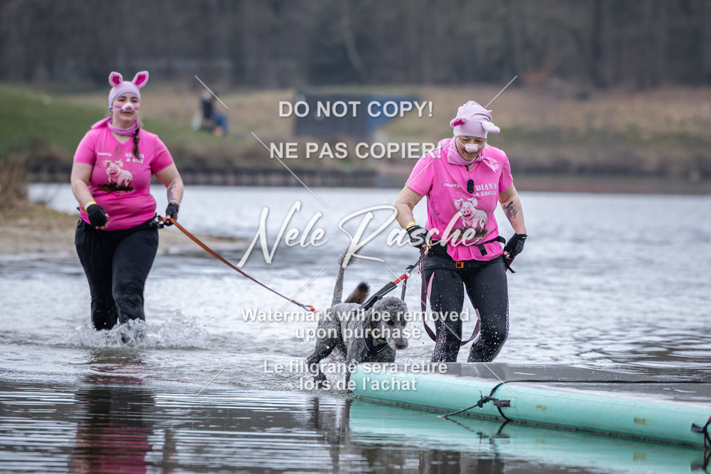 nelerasche_Hulsbeek_Sa1600-1700_394 | nelerasche