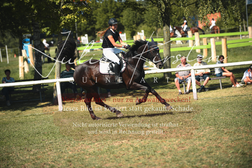 DSC_7068 | Pferde- und Turnierfotografie in Westsachsen. Pferdeportraits, Auftragszeichnungen und intuitive Kunst.
