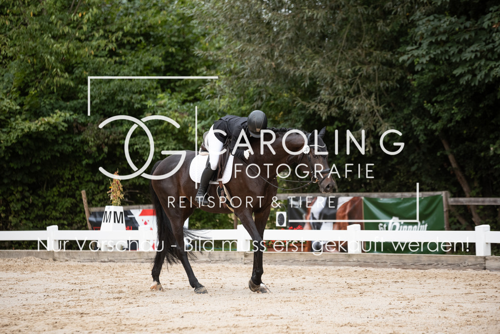 DSC_5421 | Turnierfotografin Carolin Gieschke, Turnierfotografie Carolin G Fotografie, Turnierfotos Kirchheim/Teck, Esslingen, Stuttgart, Bodenseekreis