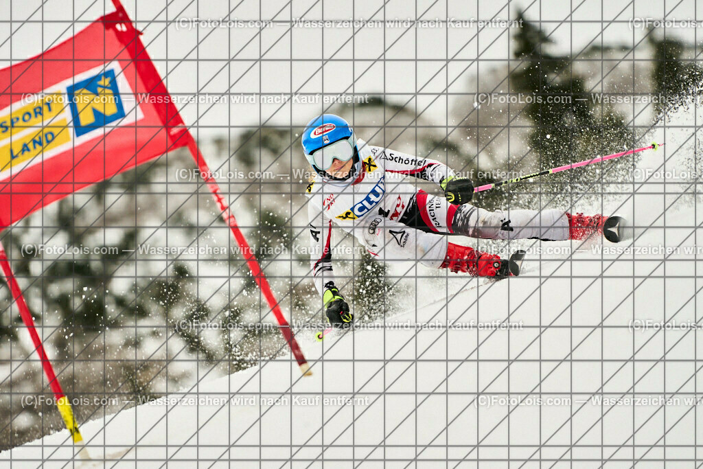 ALP3370_NWC-RTL_Hochkar_Paumann Franziska | (C)FotoLois.com, Alois Spandl, NÖ RAIKA Club-Nachwuchscup_Giant Slalom am Hochkar/Draxlerloch, So 15. Jänner 2023.