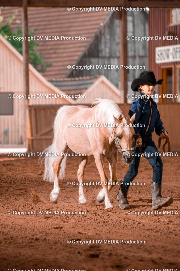 NE201521 | dv-media-shop - Realisiert mit Pictrs.com