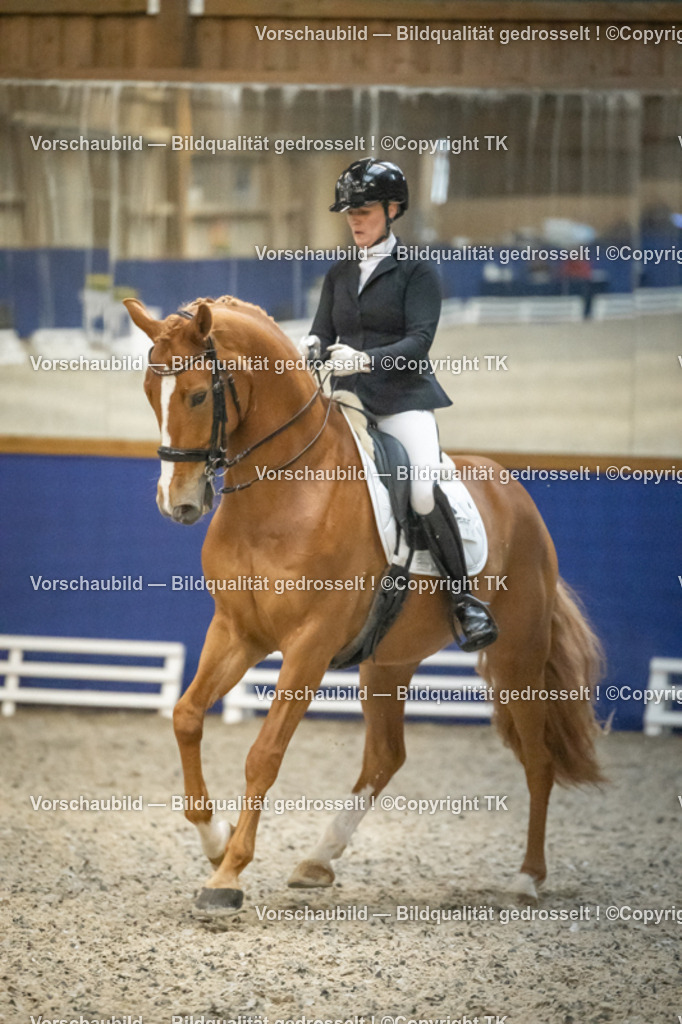 _D5A7956 | Emotionale Pferde- & People-Fotografie rund um Heidelberg, Leimen & Umgebung. Natürliche Fotos von Pferd, Mensch & Familie. Jetzt Termin sichern!