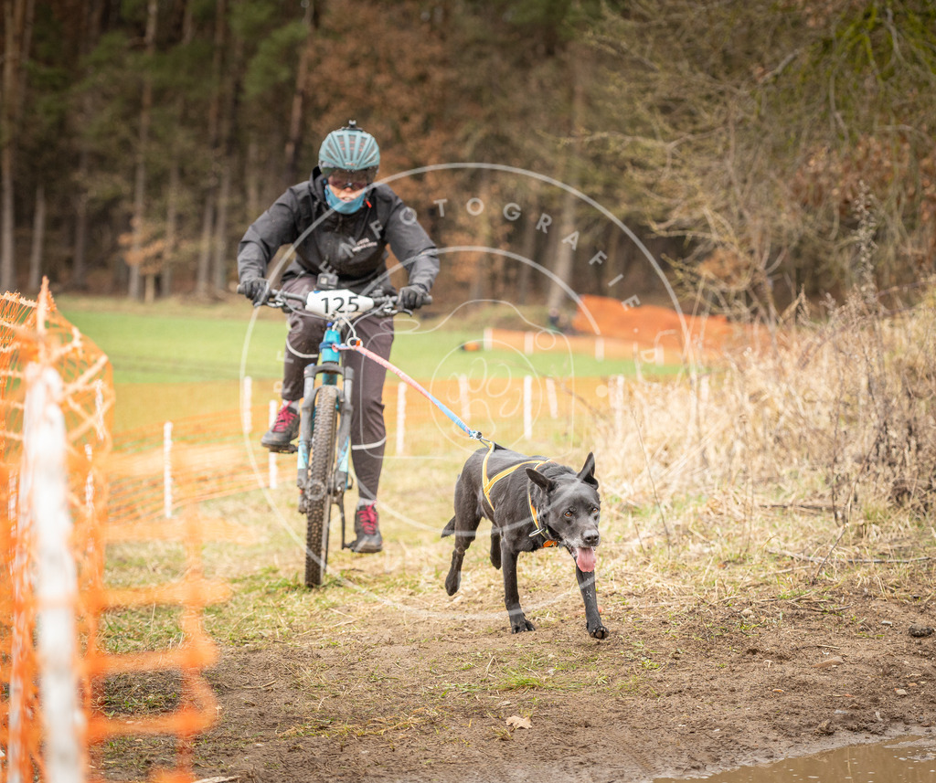 DV3A1166 | Hundefotografie, Tierfotograf, Pfotenfotografie, Fotoshooting Hund, Hunde Portrait, Hundesport, Hundeportraits, Heideshooting, Hunde, Sportfotograf, Hundefotograf, Turnierhundsport, THS,  - Realisiert mit Pictrs.com