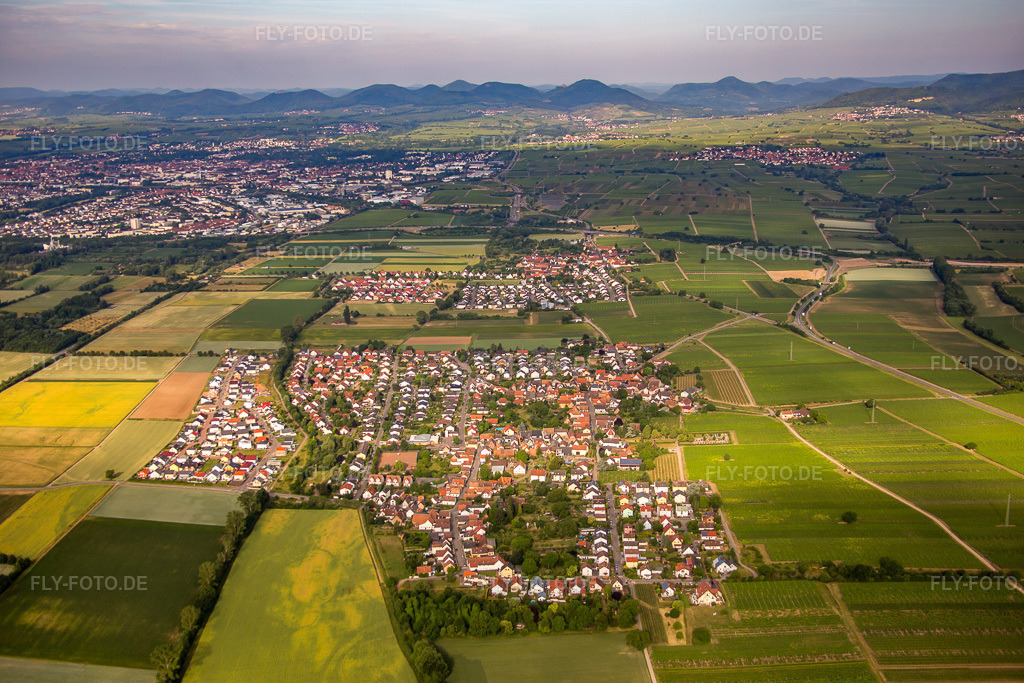 Luftbild: Ortsansicht von Osten in Bornheim im Bundesland Rheinland-Pfalz in Deutschland. Foto: IMG_080927.jpg vom 14.06.2015 durch Werner Riehm/FLY-FOTO.de