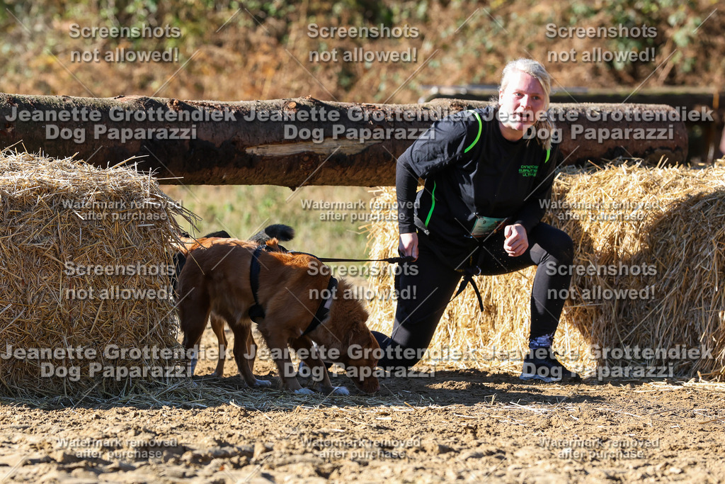 Dog Paparazzi - Strongdog 10-25-2672 | Dog Paparazzi Jeanette Grottendiek Fotografie & Videografie - Realisiert mit Pictrs.com
