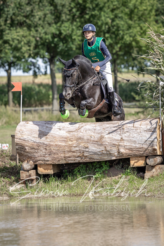 20250907-_3LI0842 | Tierfotografie Pferde, Hunde, Katzen, Haustiere.
Turnierfotografie Reitturniere, Reiten, Springreiten, Dressur in Hanau, dem Main-Kinzig-Kreis und dem Rhein-Main- Gebiet um Frankfurt
