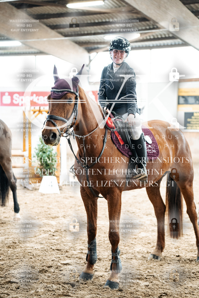 CK702892 | Turnierfotografie Pferdefotografie Trier Rheinland-Pfalz Pferdesport Reitsport Tierfotografie Sportfotografie Pferdevideo Pferdevideografie Equestrianvideography equestrianphotography  - Realized with Pictrs.com