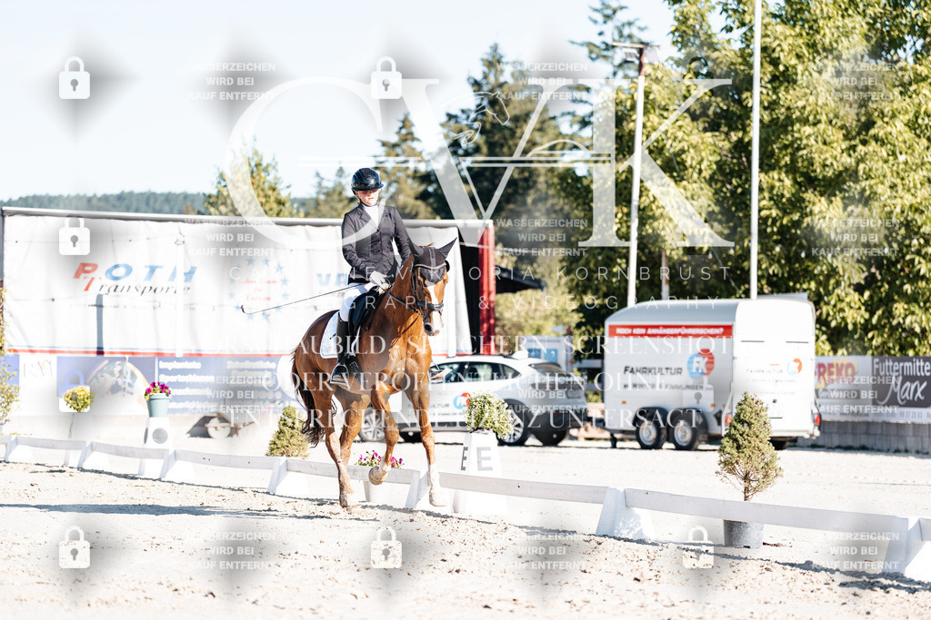 CK907255 | Turnierfotografie Pferdefotografie Trier Rheinland-Pfalz Pferdesport Reitsport Tierfotografie Sportfotografie Pferdevideo Pferdevideografie Equestrianvideography equestrianphotography  - Realisiert mit Pictrs.com