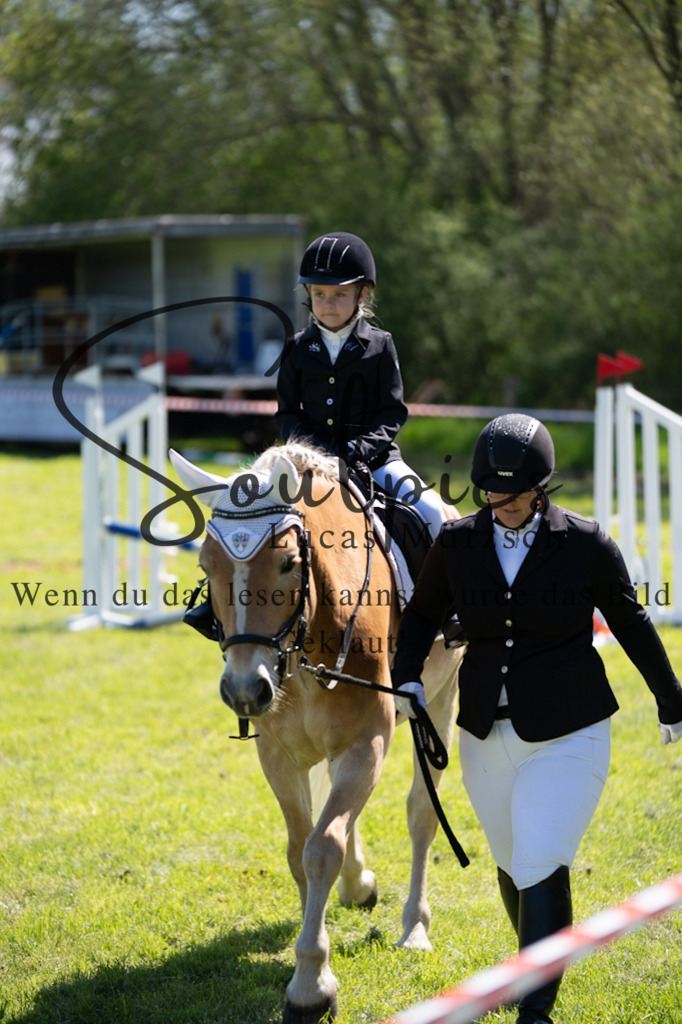 A7V01207 | Pferdefotograf