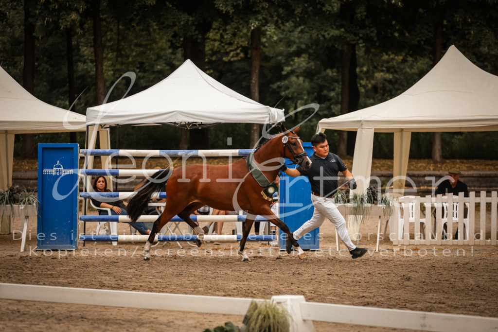 10.-12.Elite00133 | Leoni Ertmer Photography - Realisiert mit Pictrs.com