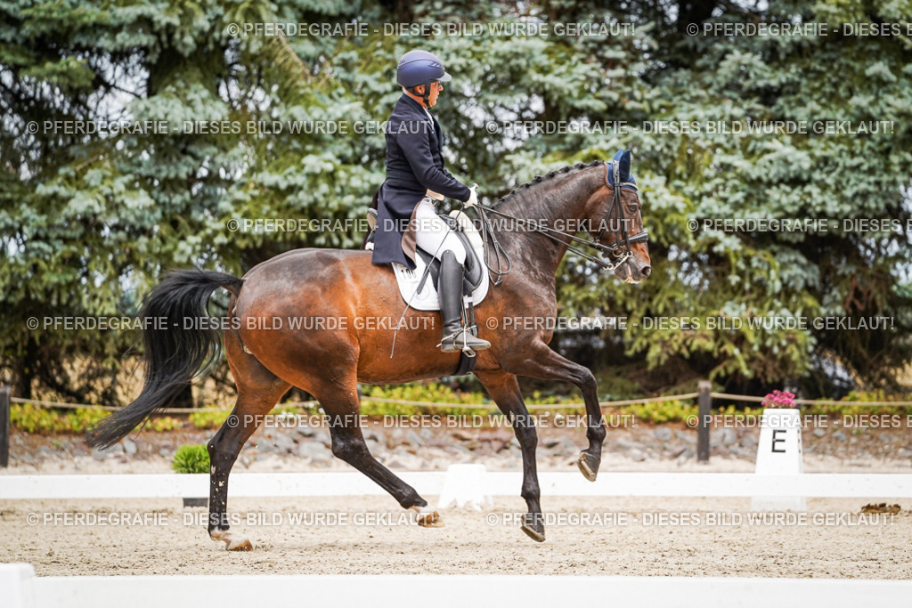 DSC05087 | Pferdegrafie