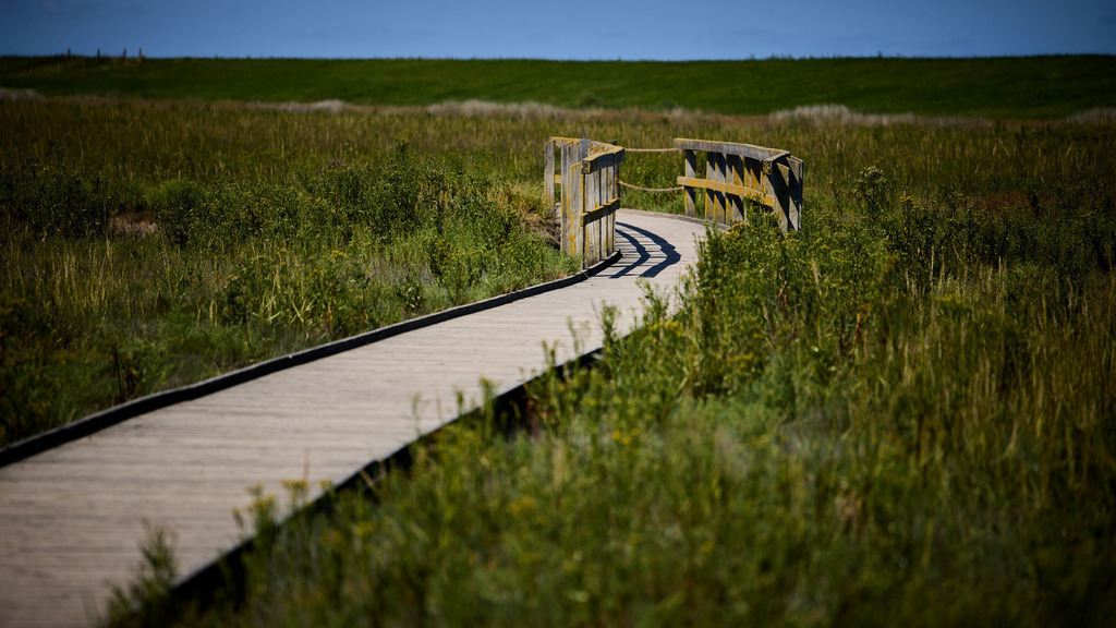 Der Weg Langwarder Groden | kleinen-fotografie