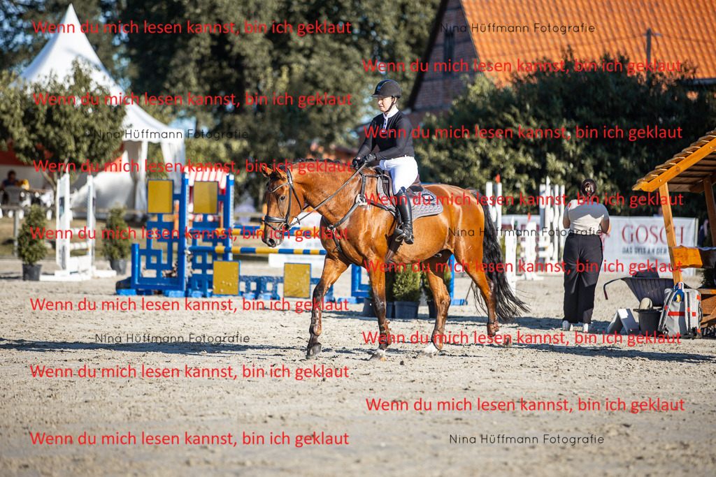 BK1A7745 | Turnierbilder Turnierfotos Nina Hüffmann Turnierfotografie Pferdefotografie Tierzeichnung Haustierzeichnung Pferdezeichnung Hundezeichnung Videograf  - Realisiert mit Pictrs.com