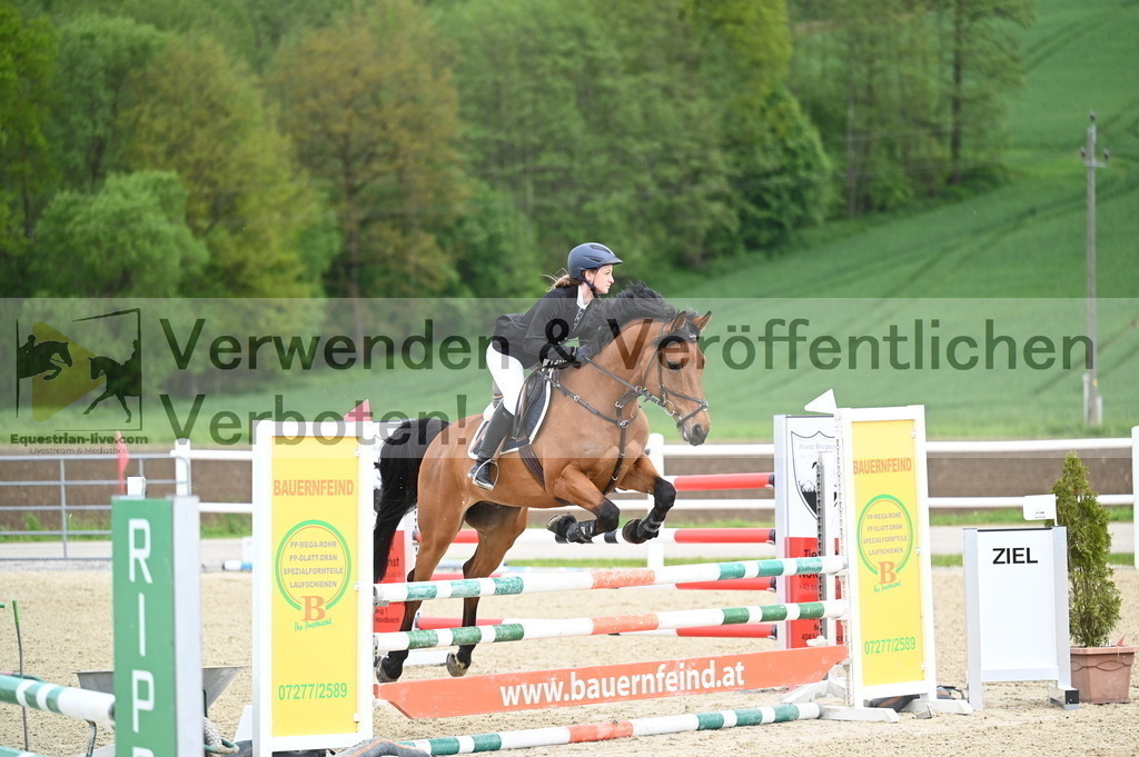 DSC_0691 | equestrian-live-com