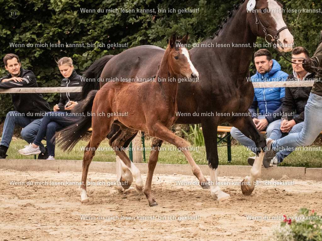 A10I4122 15.58.11 | photographylinaismer - Realisiert mit Pictrs.com
