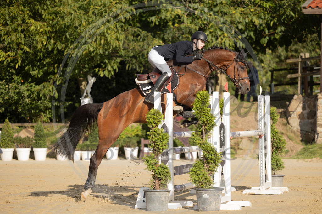 994A8627 | sabrinanicolaifotografie - Realisiert mit Pictrs.com