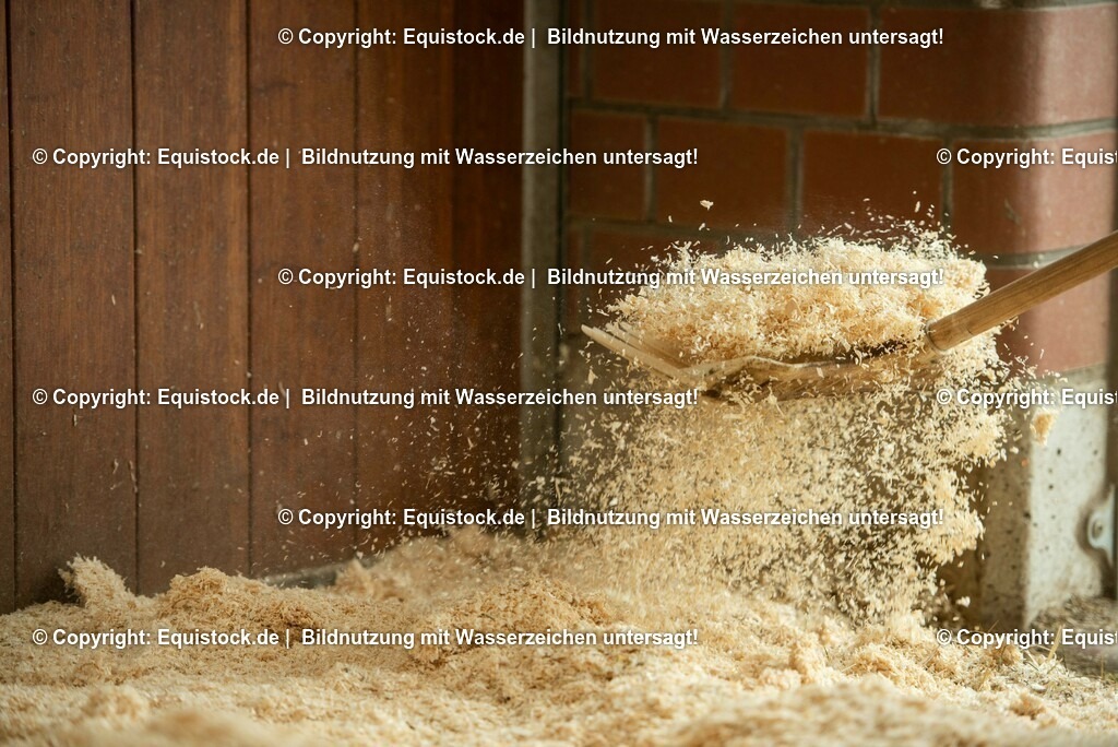20190409_Einstreu_in_Pferdebox_0011 | Foto: Thomas Hartig
