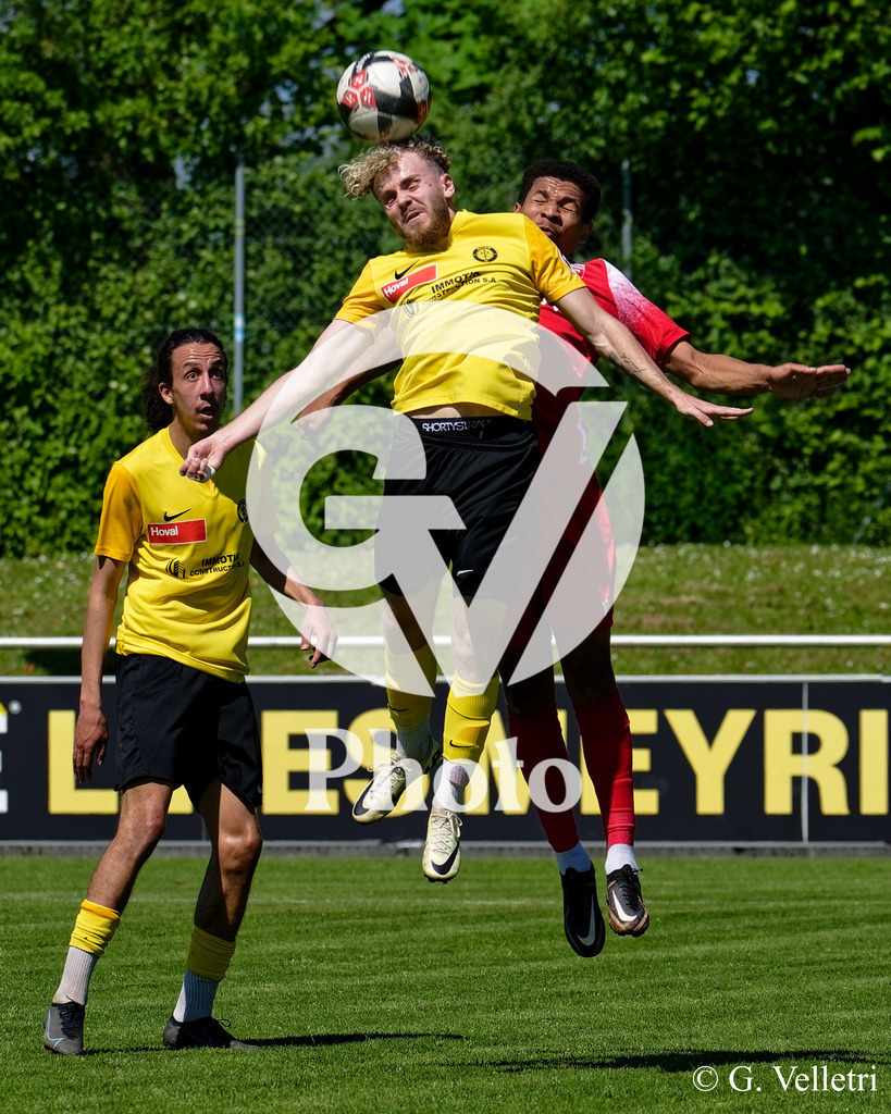 DSC_7780 | Velletri Photo