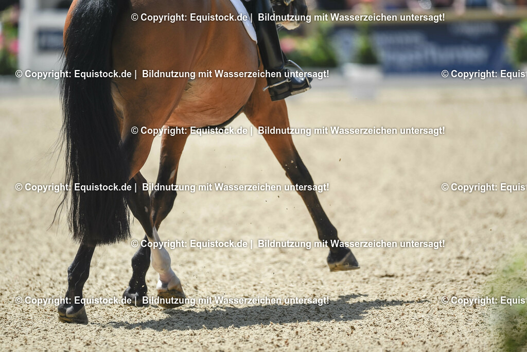 TP5_1339 | equistock